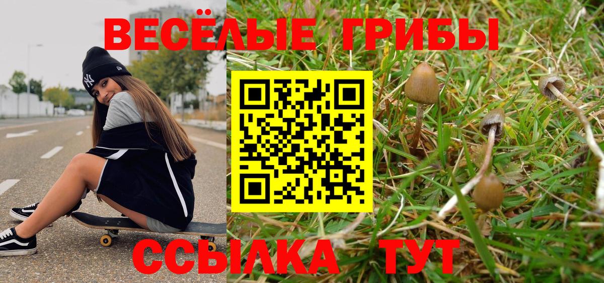 Псилоцибиновые грибы прущие грибы Реж