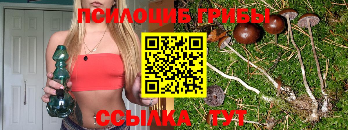 Реж  Псилоцибиновые грибы Psilocybe  Вход с VPN 